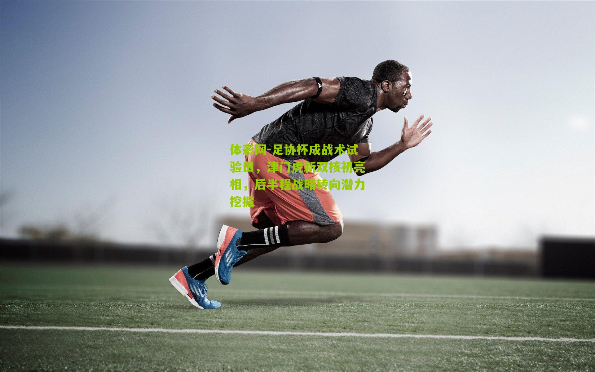 足协杯成战术试验田，津门虎新双核初亮相，后半程战略转向潜力挖掘