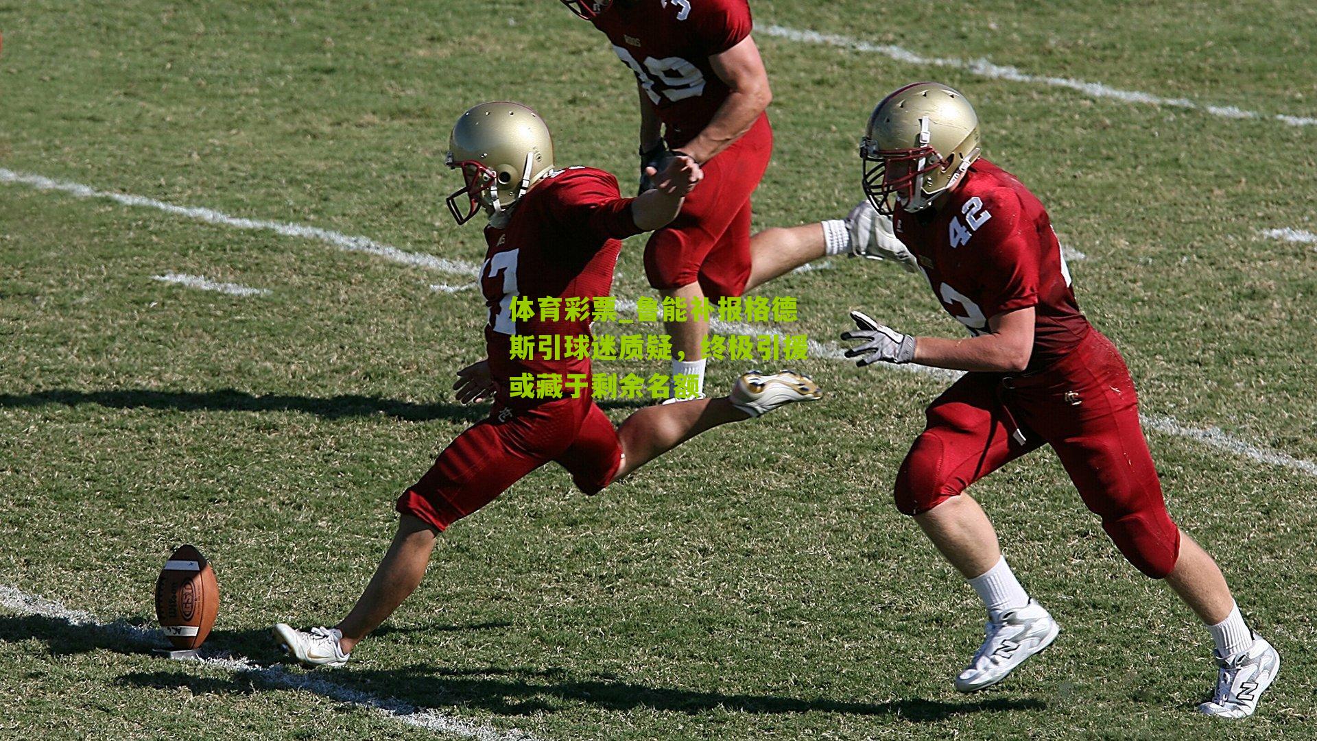 鲁能补报格德斯引球迷质疑，终极引援或藏于剩余名额