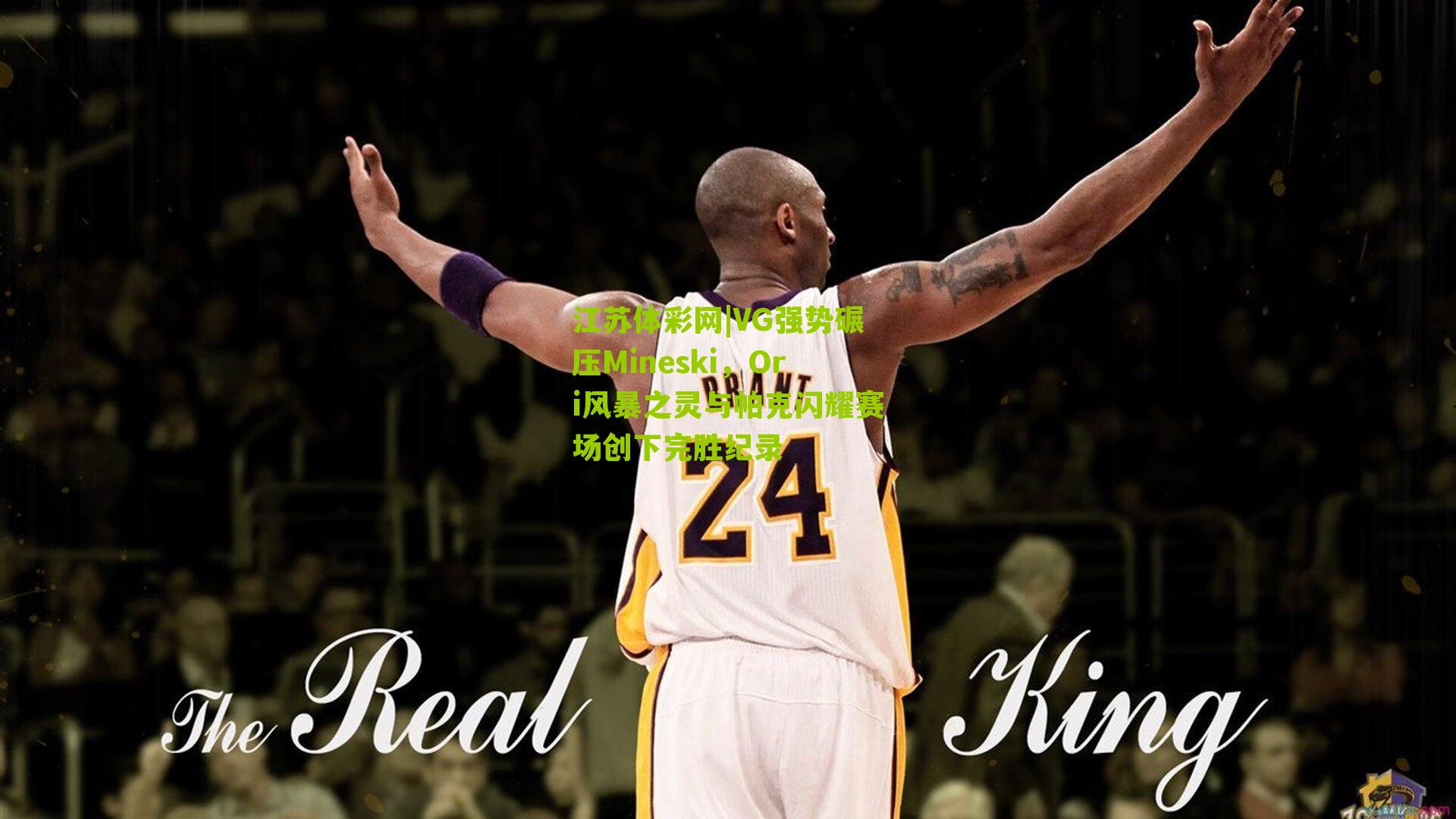 VG强势碾压Mineski，Ori风暴之灵与帕克闪耀赛场创下完胜纪录